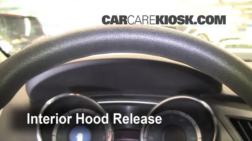 2011 Hyundai Sonata GLS 2.4L 4 Cyl. Hood